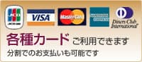 各種カードご利用できます。分割でのお支払いも可能です。
