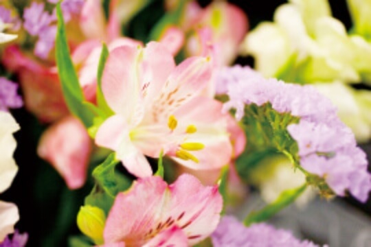 通夜式・告別式