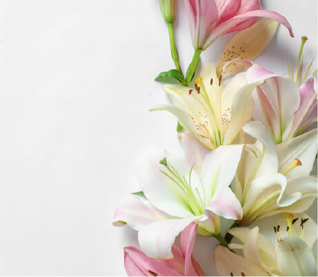 お別れ花の画像