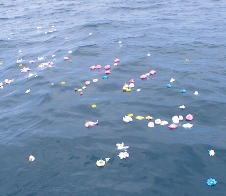 散骨葬のイメージ画像