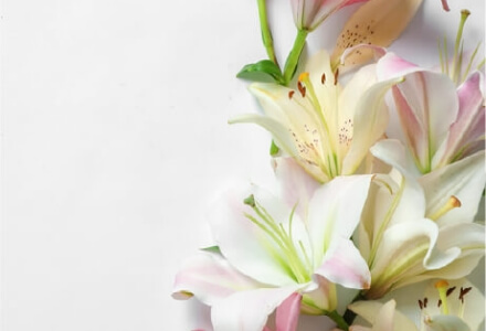 お別れ花の画像