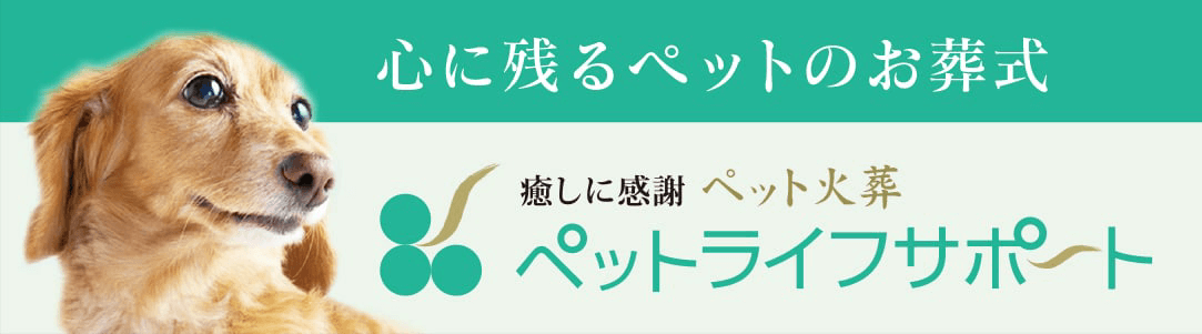 ロゴ画像