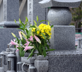 お墓の準備